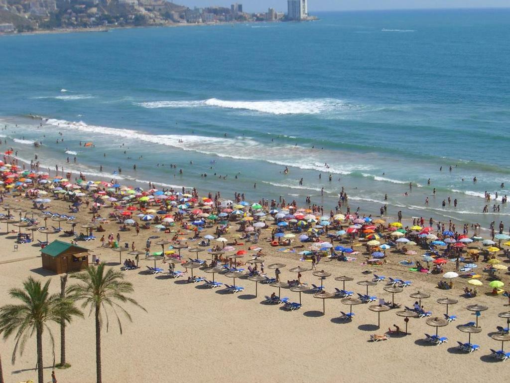 Apartamento Elite En Cullera Playa San Antonio Eksteriør billede